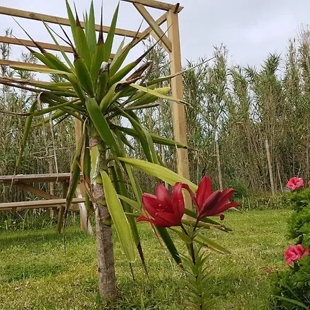 Our Relaxing Holiday home *
