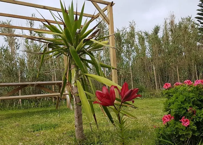 Our Relaxing Dom wakacyjny *